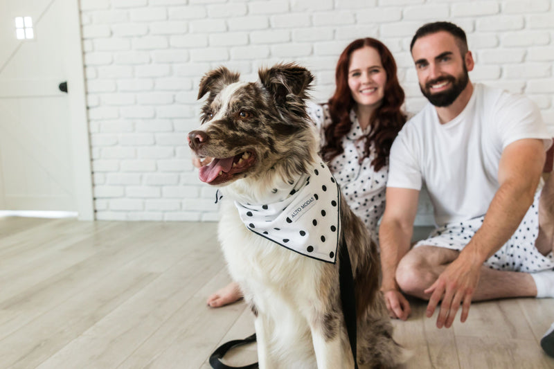 Alto Modas Pet collection