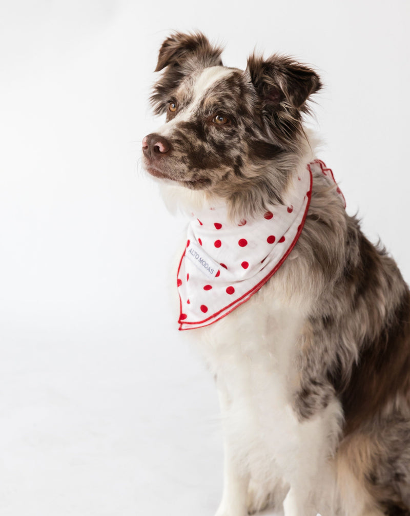 Dog Bandana Classic Seersucker Dots
