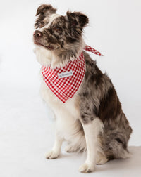 Red Gingham Dog Bandana