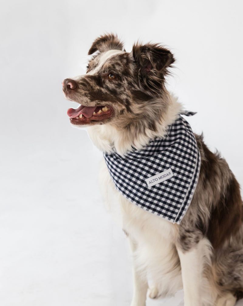 Navy Gingham Dog Bandana
