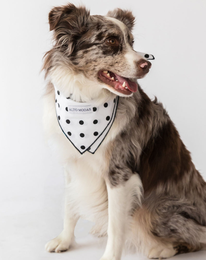 Polka Dot Dog Bandana