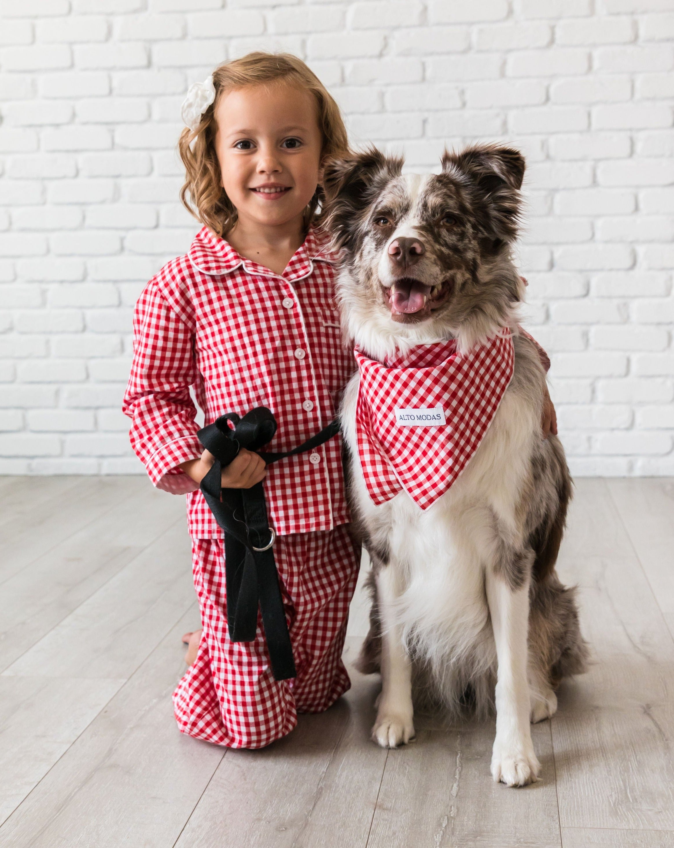 Gingham dog sales bandana