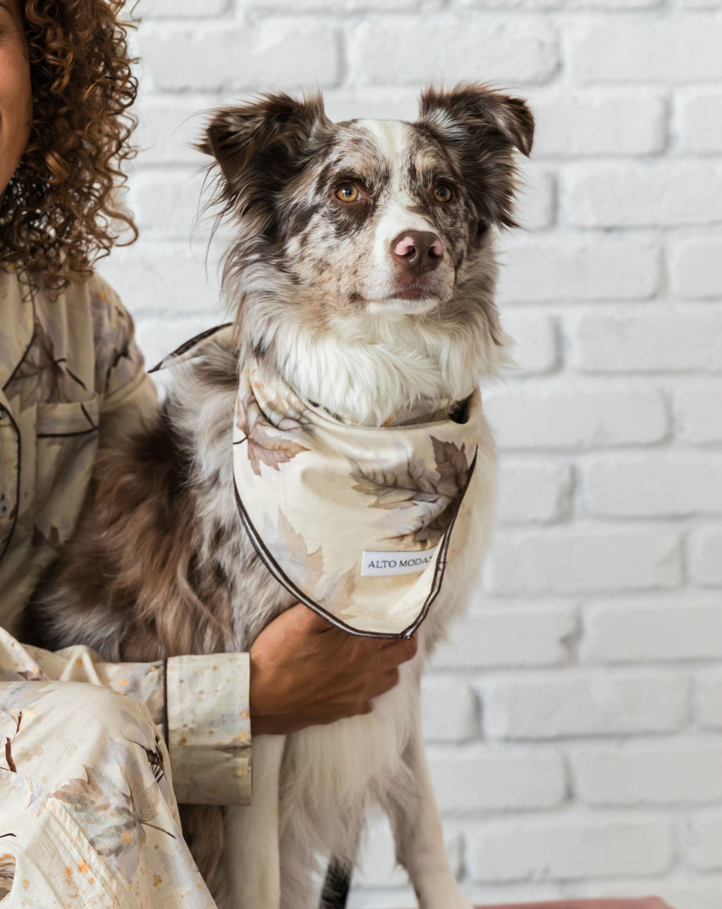 Dog Bandana Maple Print Collection