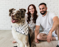 Classic Dog Bandana